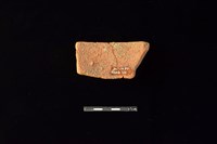 陶片藏品圖，第2張